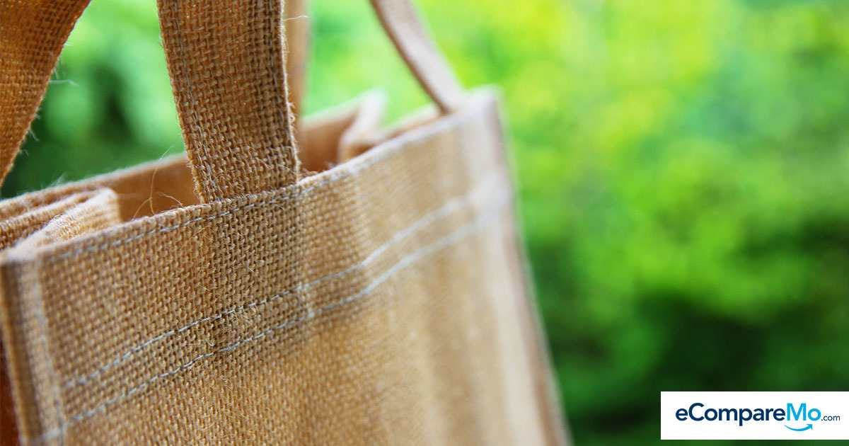 the-ugly-truth-about-eco-friendly-bags-no-one-has-told-you