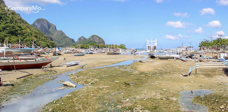 Swimming Ban on Panglao and El Nido Beach