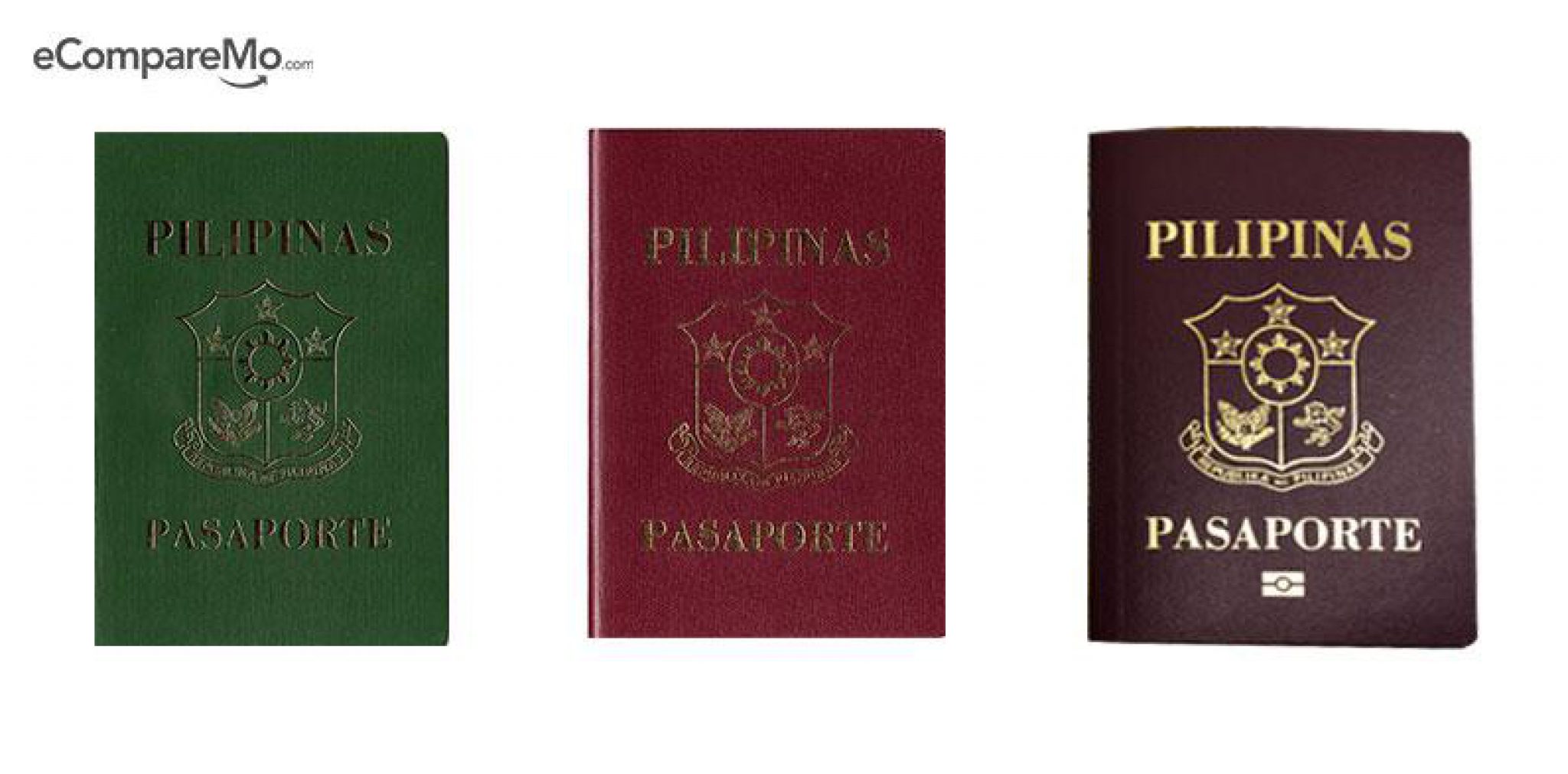 Passport Data Leak