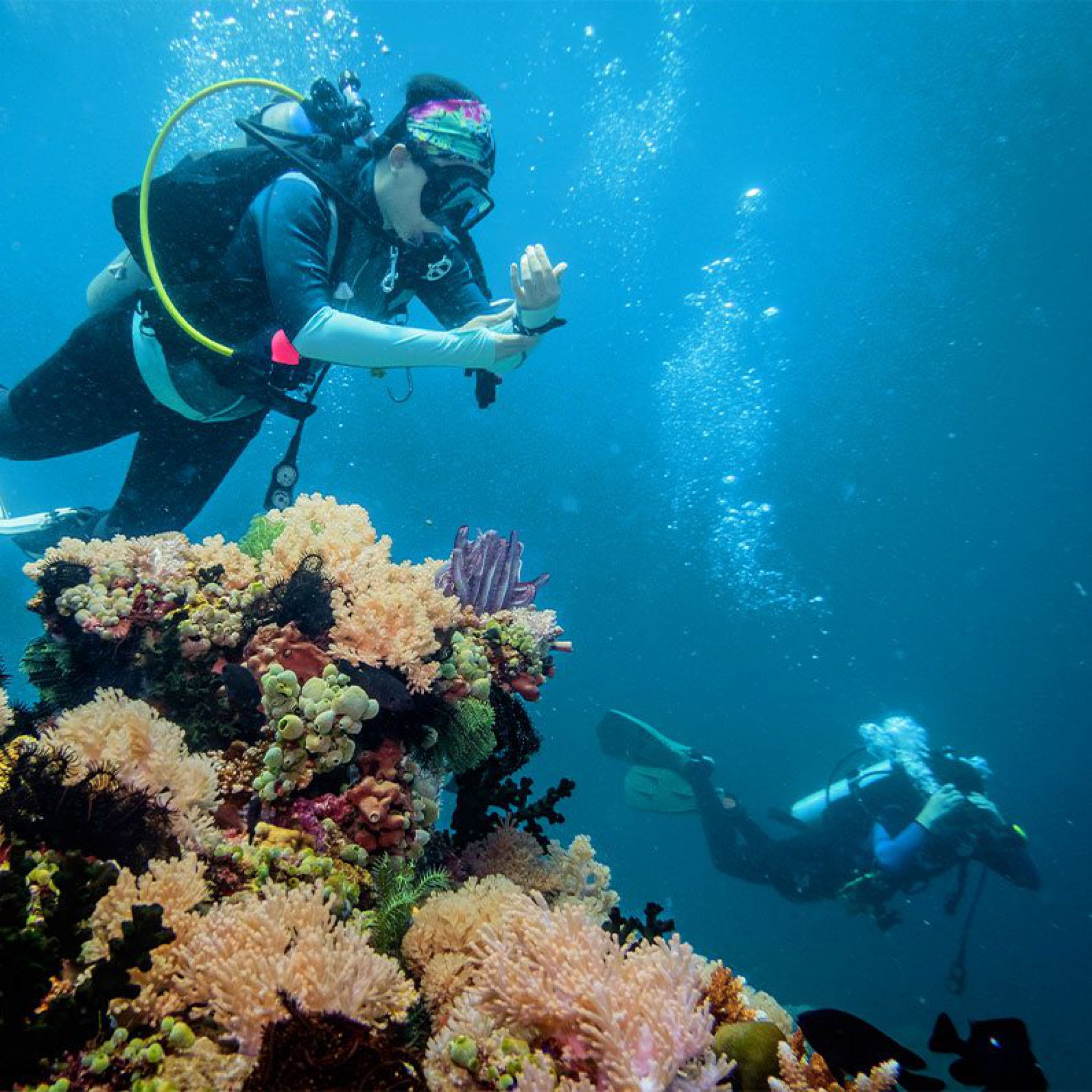 20 Scuba Diving Places In The Philippines To Add To Your Bucketlist 4075