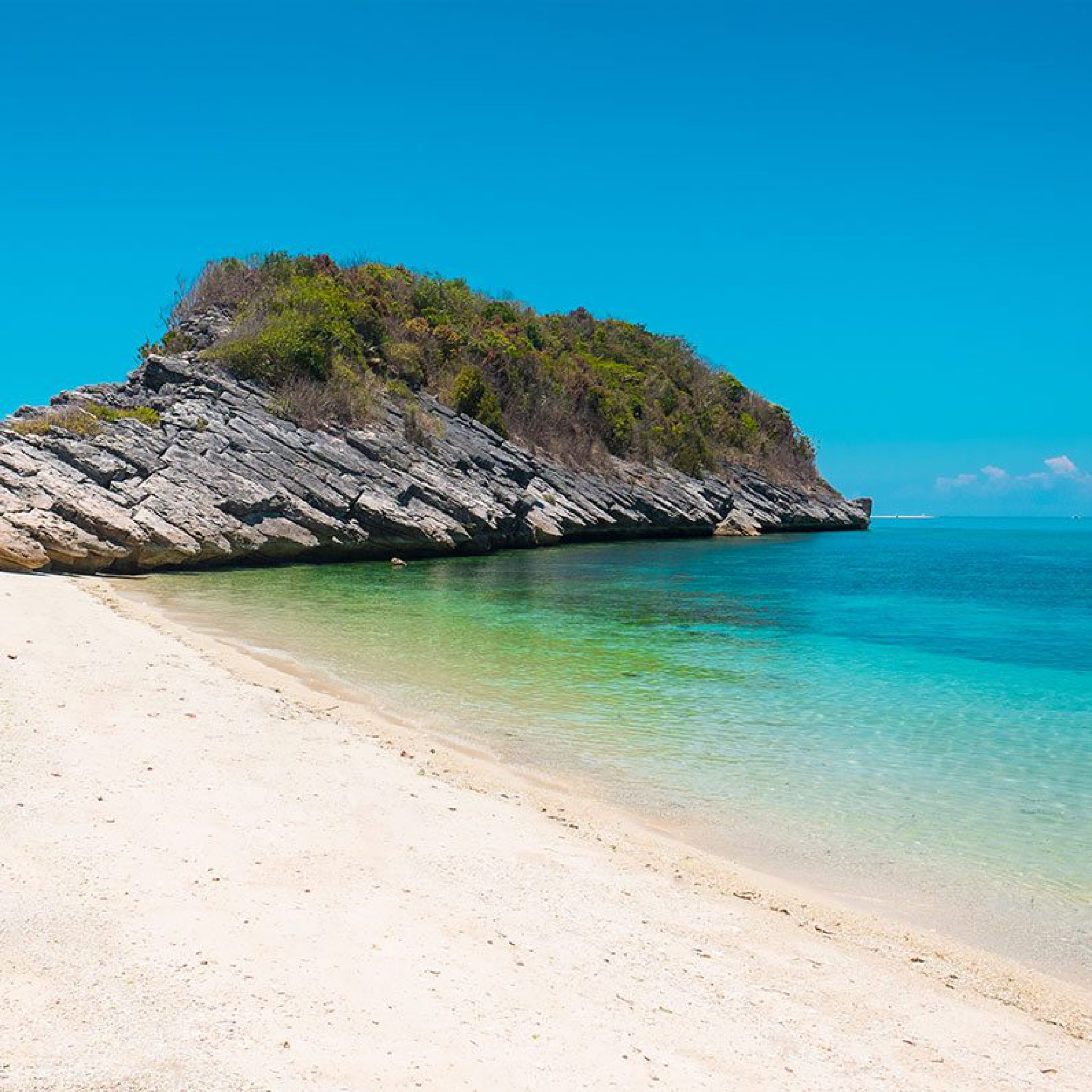 Antonia Beach