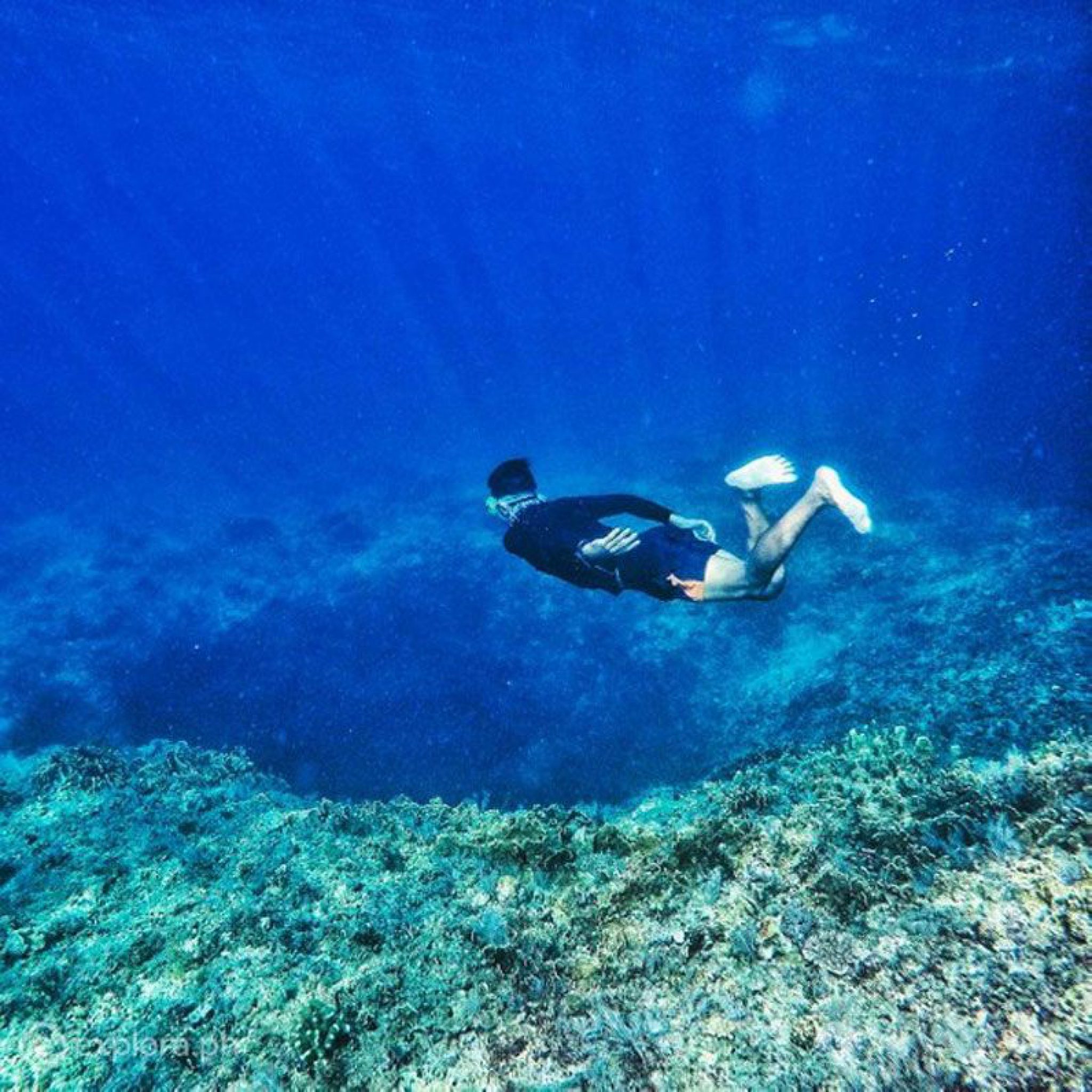 Scuba Diving Places in the Philippines