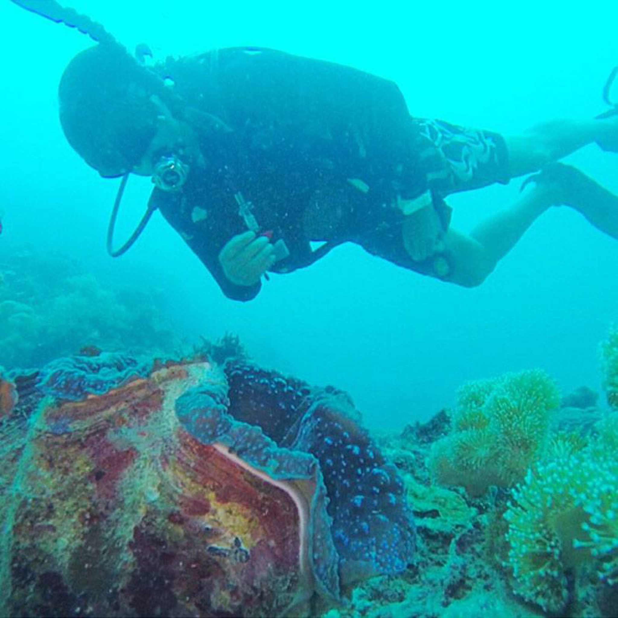 Scuba Diving Places in the Philippines