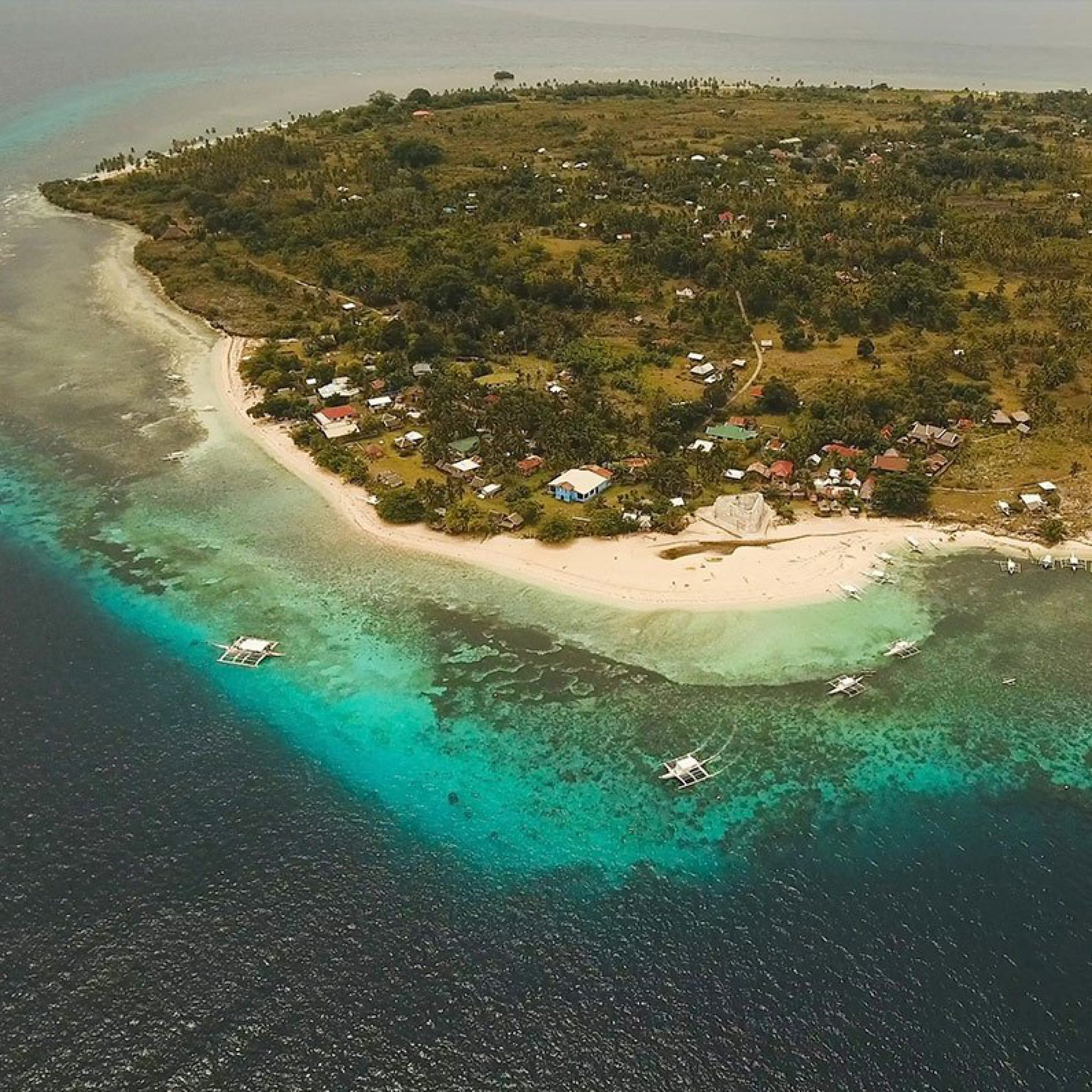 Pamilacan Island