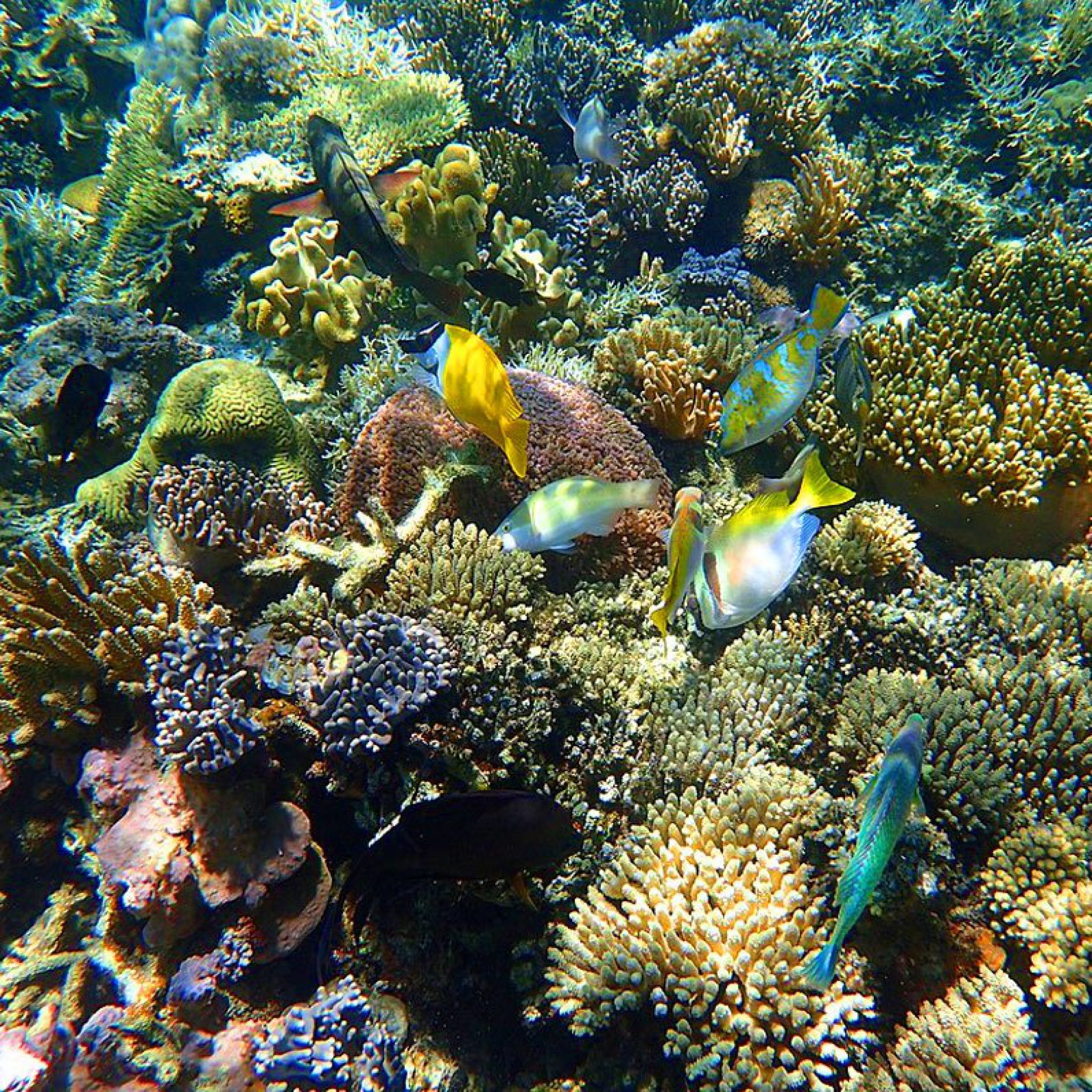 Siete Pecado Coron Palawan