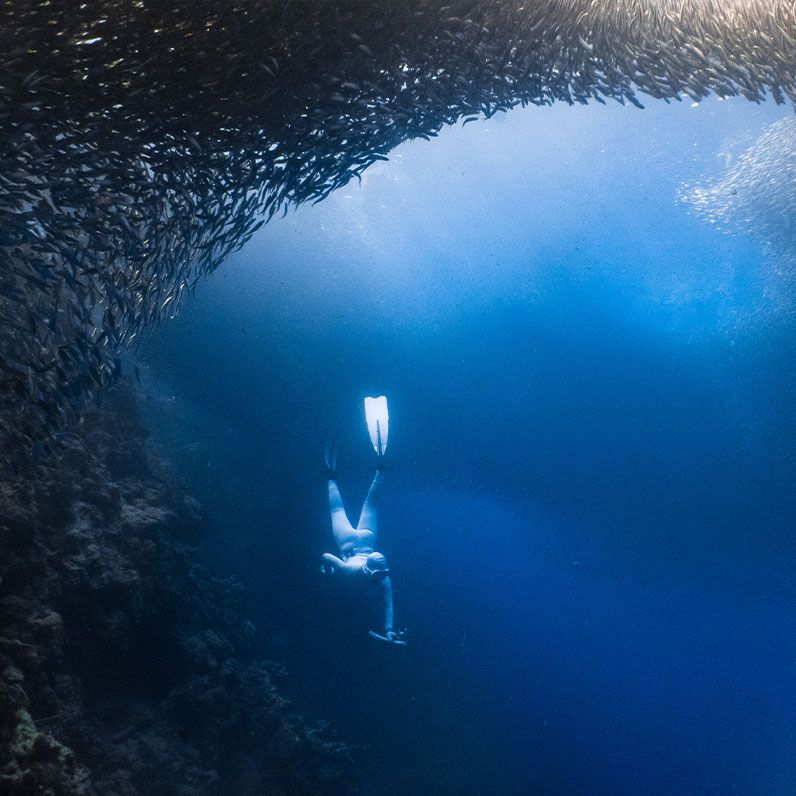 Moalboal Marine Sanctuary