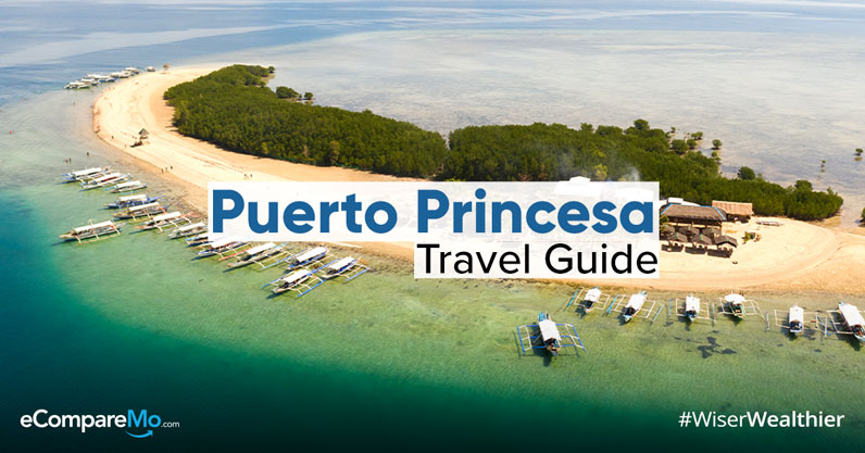 puerto princesa tour guide