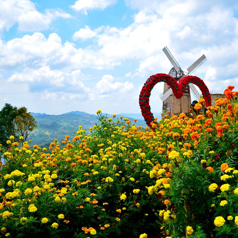 Sirao Flower Farm