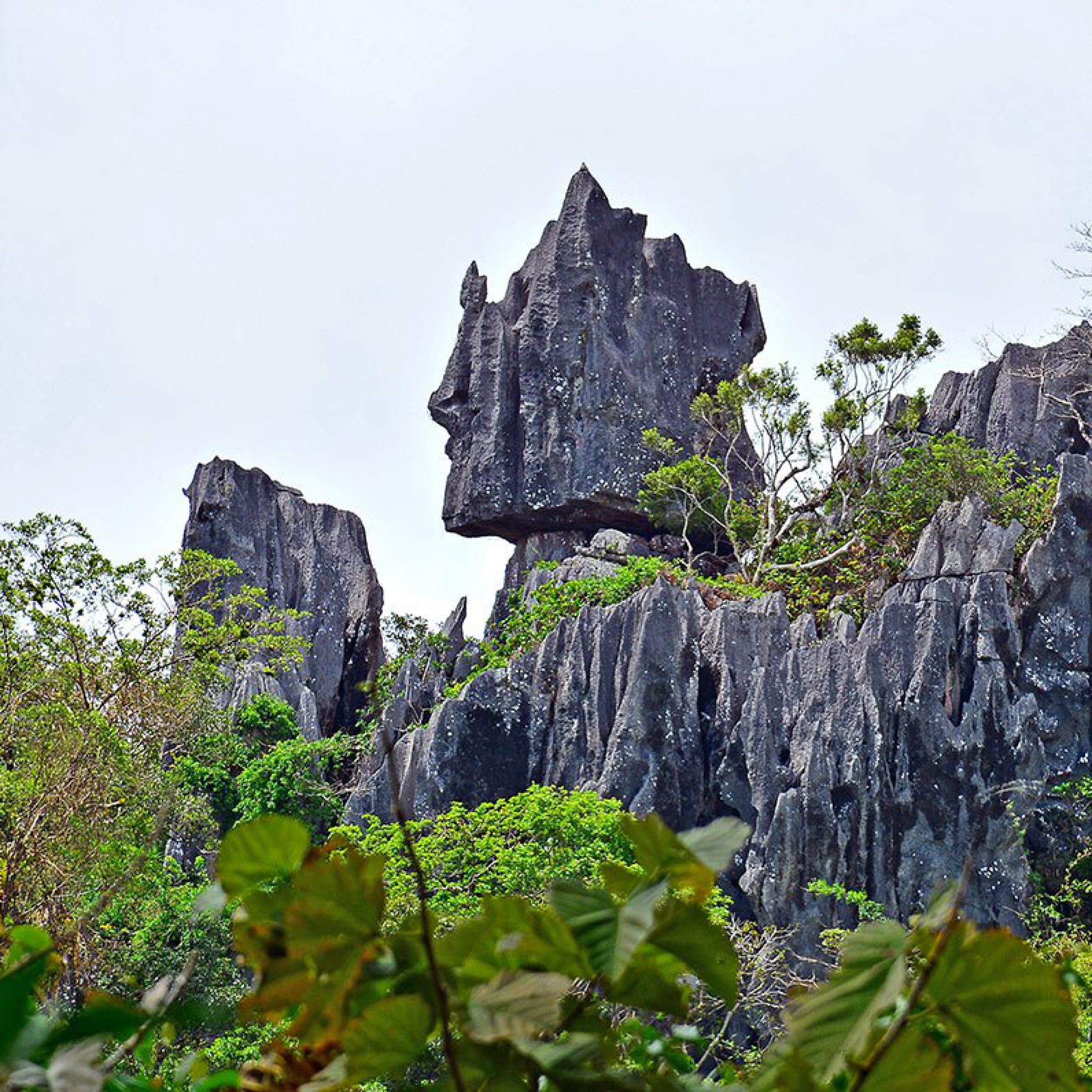 Masungi Geo-Reserve