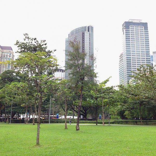 Ayala Triangle Gardens